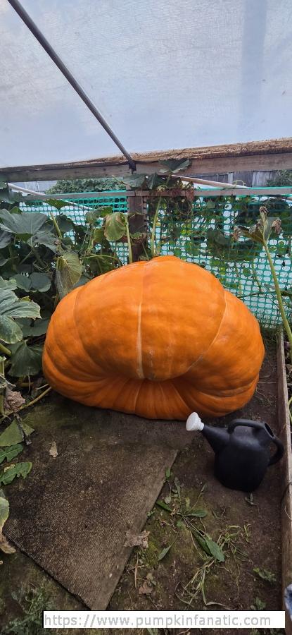 fruitImages/715 Grubbs 2025C.jpg